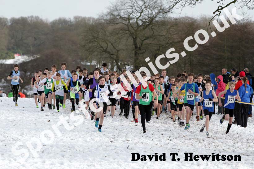 Start of the under-13 boys, 317 Kieran Hedley (Morpeth) with eventual winner 233 Julian Slater (City of Sheffield) Northern Cross Country Championships.